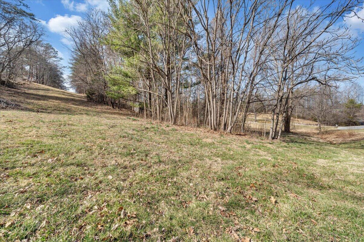 0 Woodridge Road Troutville, VA 24175 - Photo 5 of 25 a view of yard with tree