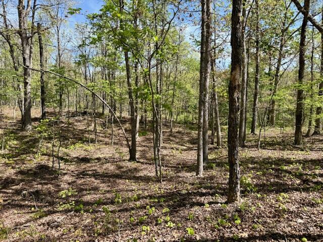 4515 Wallen Road Summersville, MO 65571 - Photo 54 of 74 IMG_5440