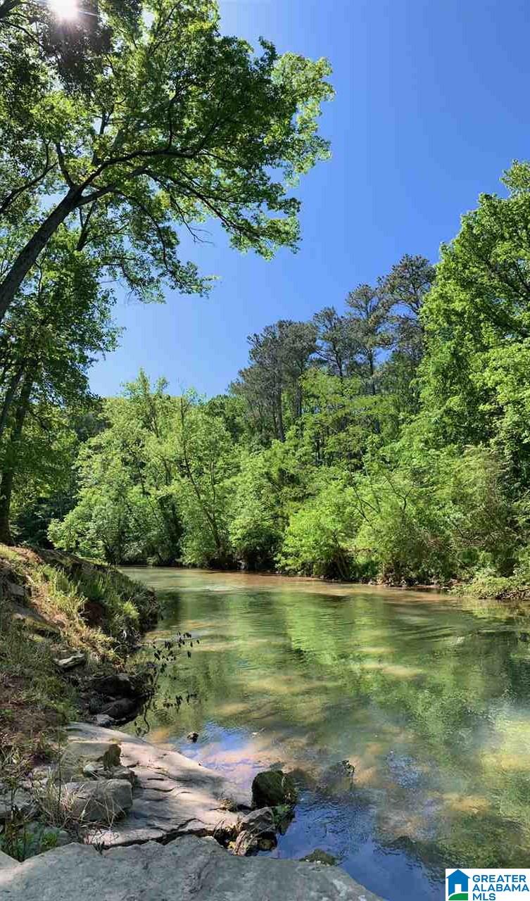 6384 Spring Street Trussville, AL 35173 - Photo 24 of 30