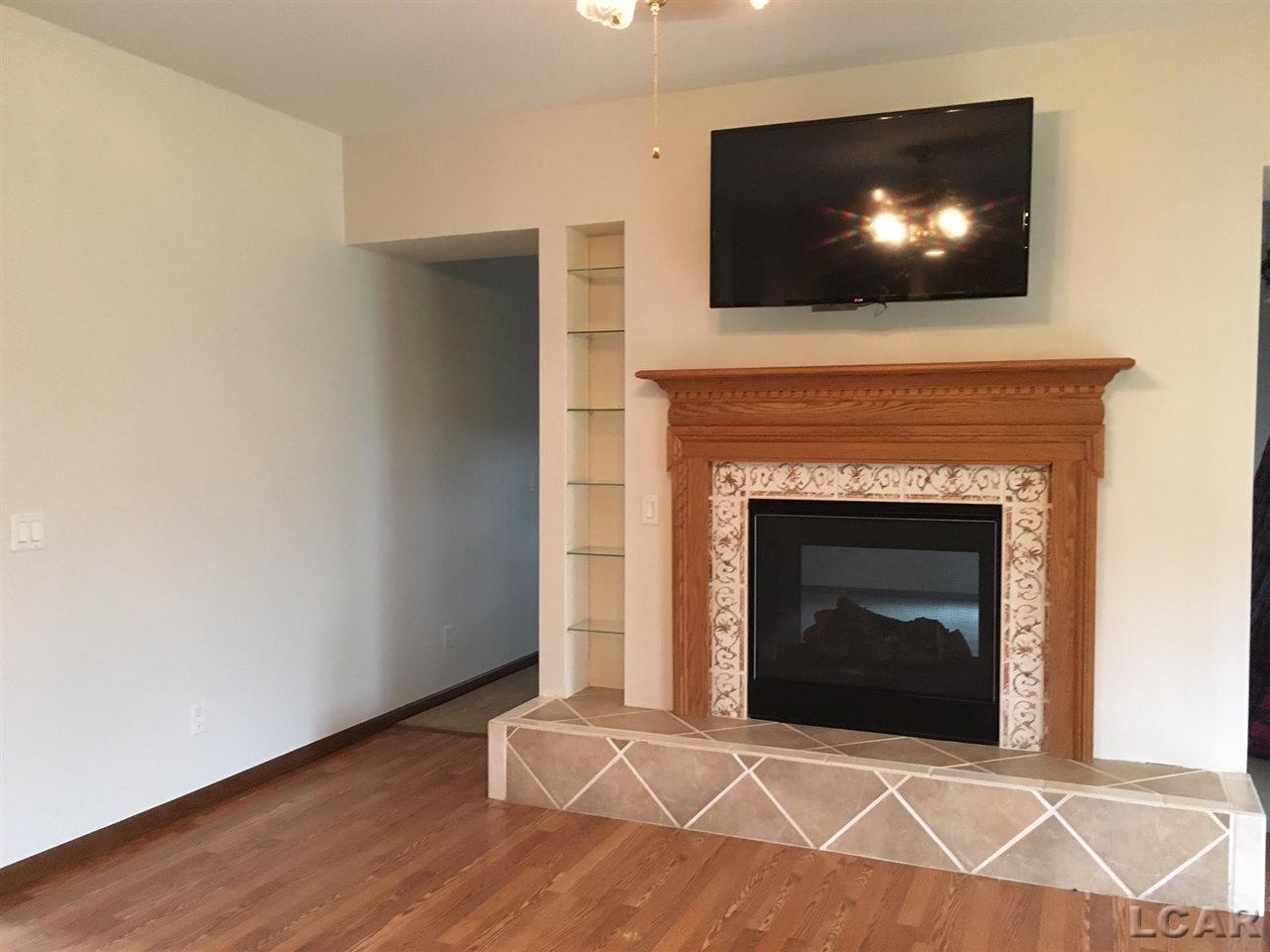 14750 Hudson Road Manchester, MI 48158 - Photo 6 of 46 Dining/gas fireplace
