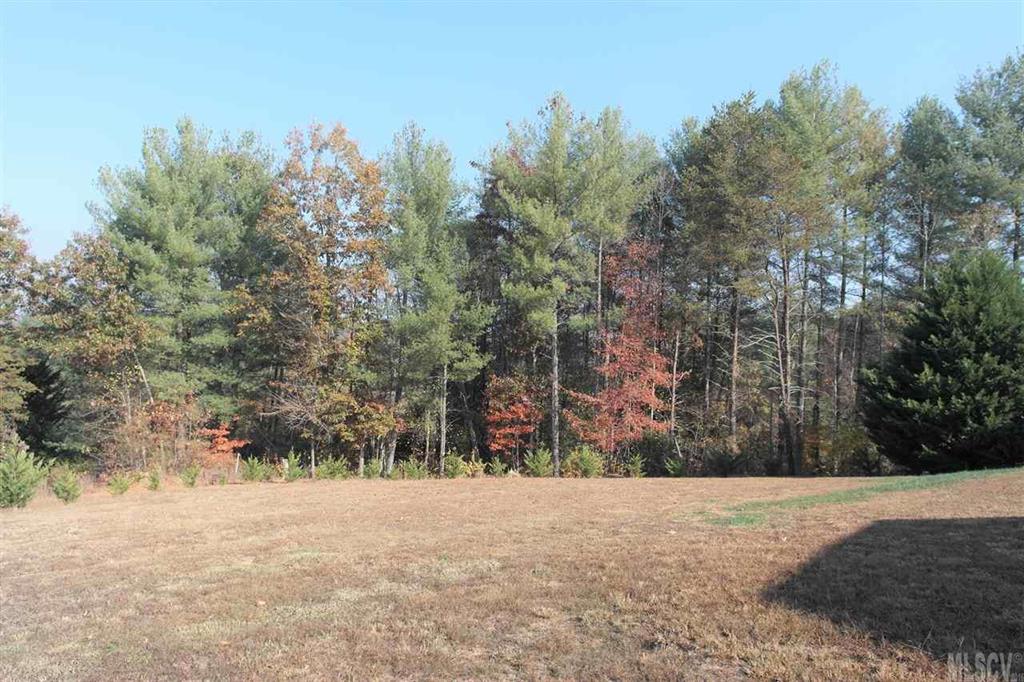 135 River Ridge Lane Rhodhiss, NC 28601 - Photo 14 of 21 Gallery Image 14