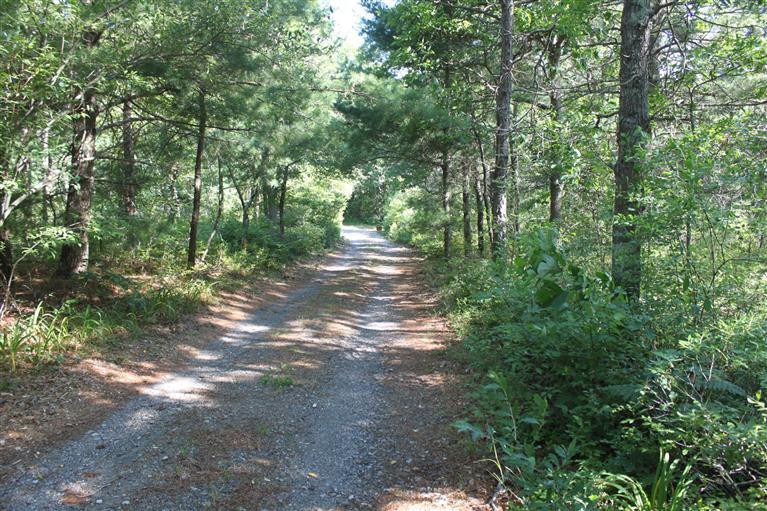 249 Asher's Path East Mashpee, MA 02649 - Photo 17 of 30 Additional Photo