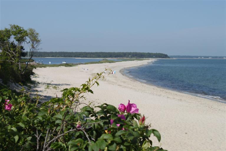 249 Asher's Path East Mashpee, MA 02649 - Photo 28 of 30 Additional Photo