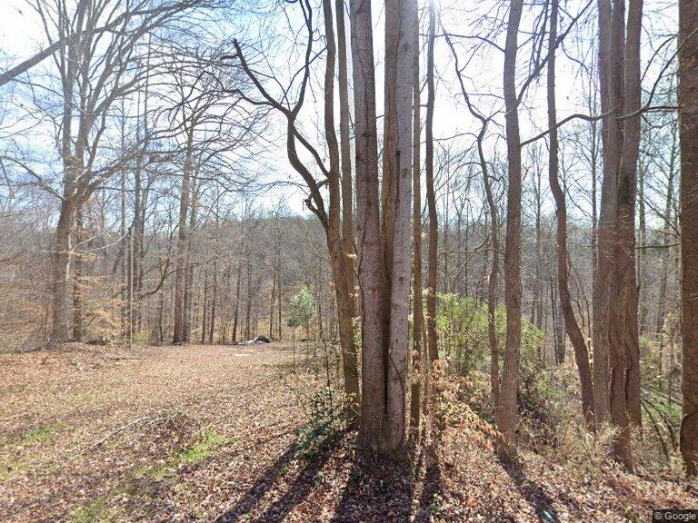 Lot 10 Shelor Ferry Road Fair Play, SC 29643 - Photo 1 of 1 Mature trees frame a gentle slope covered in leaves, offering a serene natural setting.