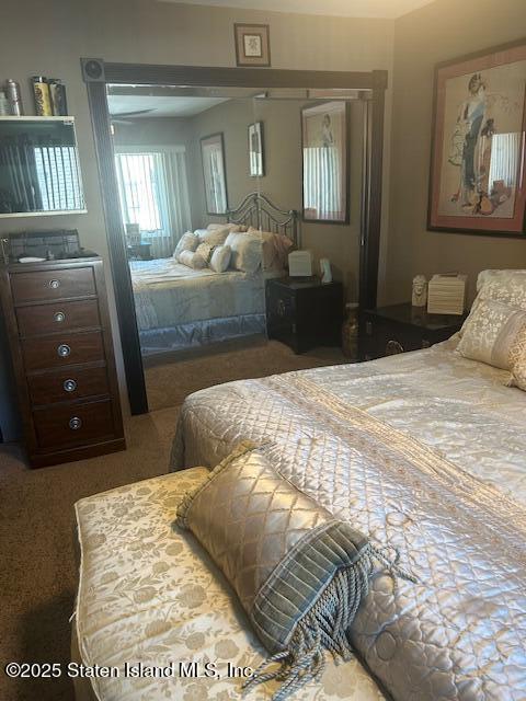 45 Daffodil Court Staten Island, NY 10312 - Photo 25 of 37 a bedroom with a bed and a walk in closet