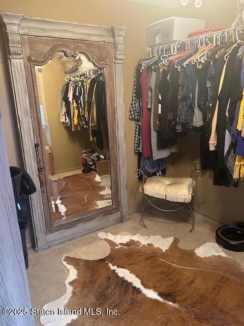 45 Daffodil Court Staten Island, NY 10312 - Photo 27 of 37 a view of walk in closet