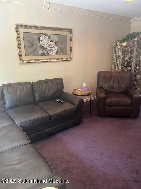 45 Daffodil Court Staten Island, NY 10312 - Photo 8 of 37 a living room with furniture and a couch