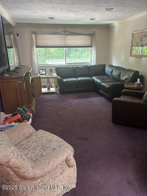 45 Daffodil Court Staten Island, NY 10312 - Photo 9 of 37 a living room with furniture and a flat screen tv