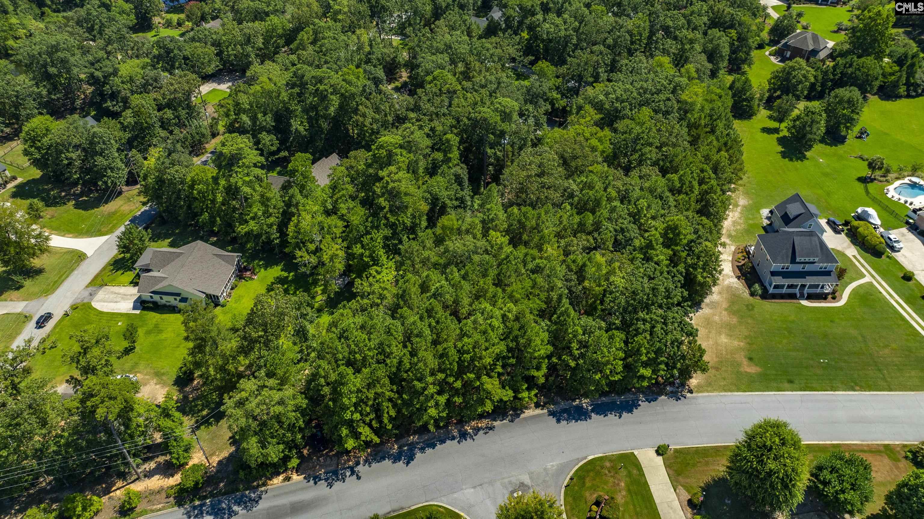 409 Caro Lane Chapin, SC 29036 - Photo 5 of 24