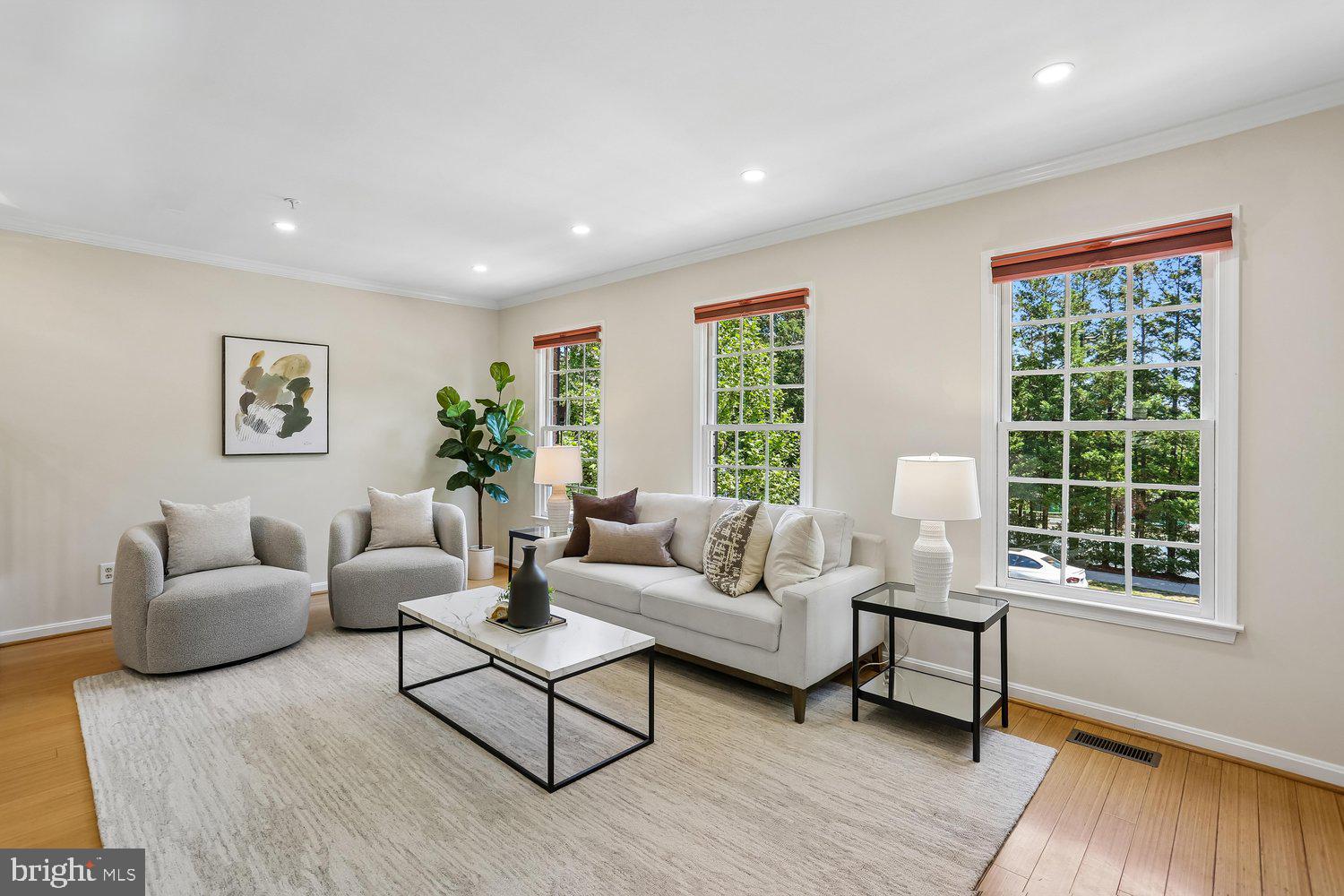 536 Tschiffely Square Road Gaithersburg, MD 20878 - Photo 2 of 43 Bright living room w/ oversized windows