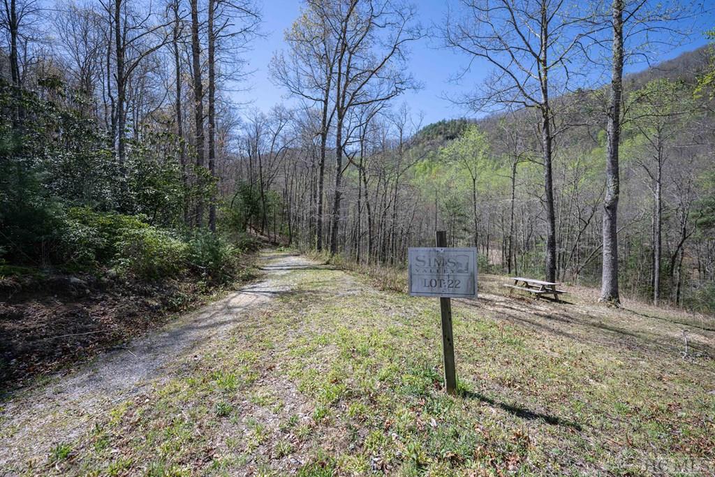 Lot 21 Pilot Knob Road Tuckasegee, NC 28783 - Photo 3 of 29 Gallery Image 3
