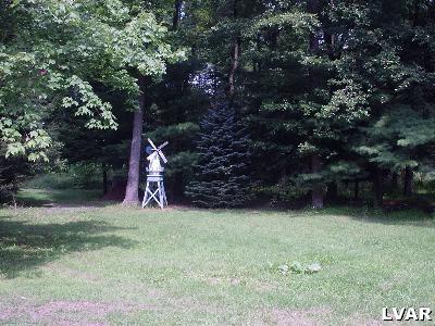 1054 South Quince Road Walnutport, PA 18088 - Photo 6 of 11 View of wooded area. Acerage goes back to stream. Cabin and patio out there