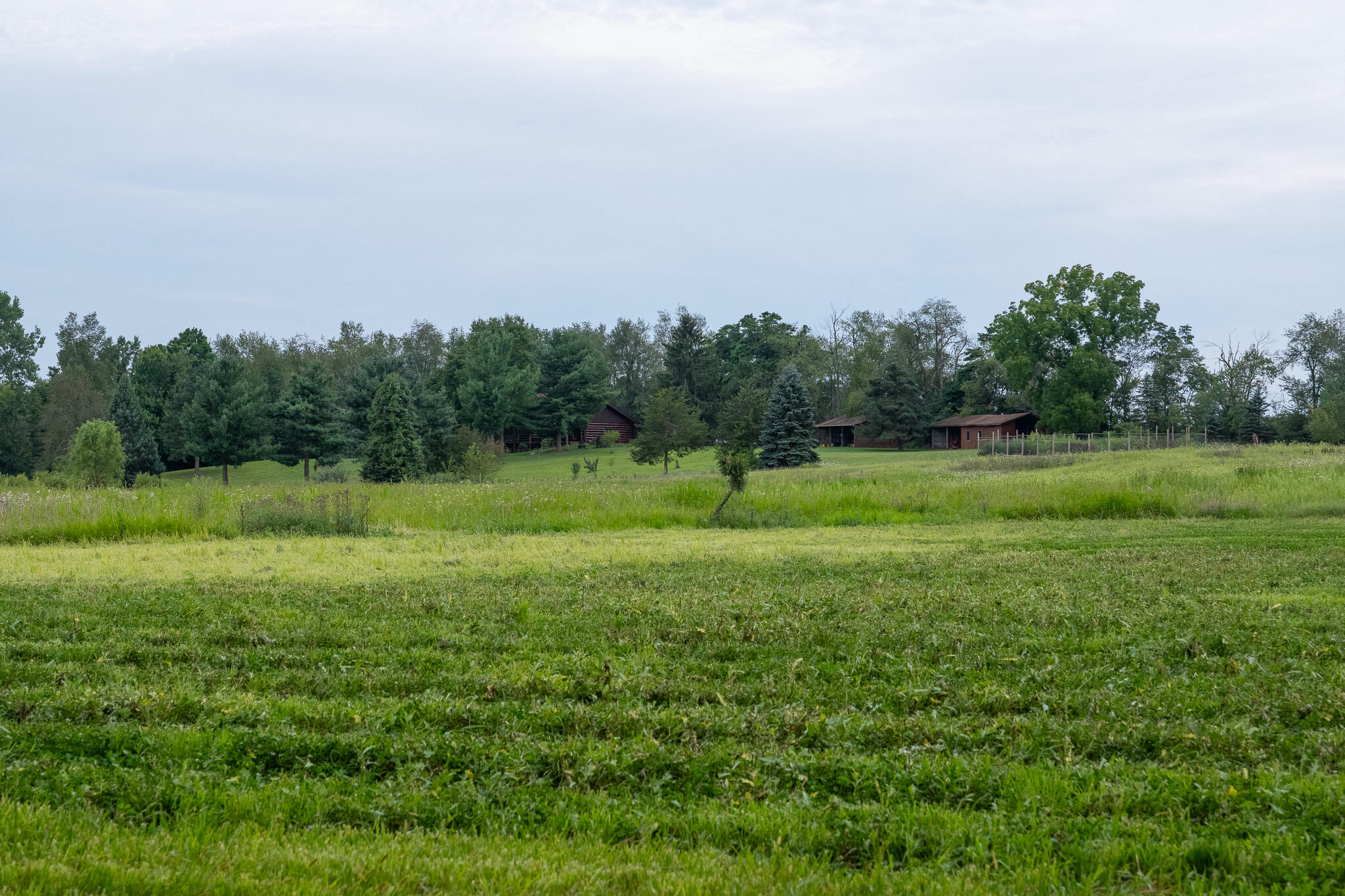 12680 Day Road Hudson, MI 49247 - Photo 62 of 77 P1101094