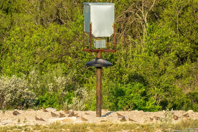 a backyard of a house with lots of green space and garden