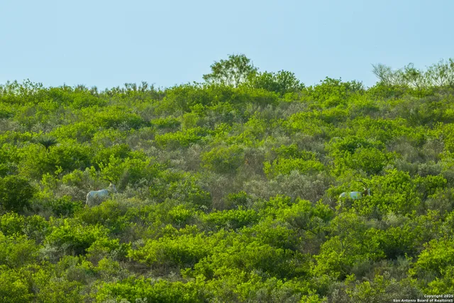 a table and chairs in front of a building