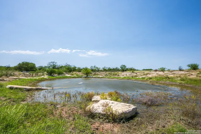 a view of a park with large trees