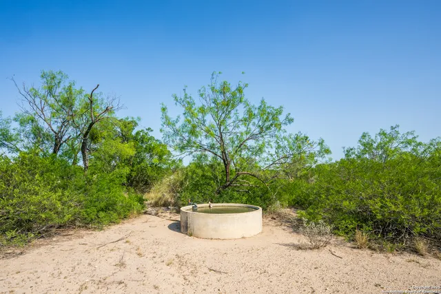 a backyard of a house with lots of green space and trees all around