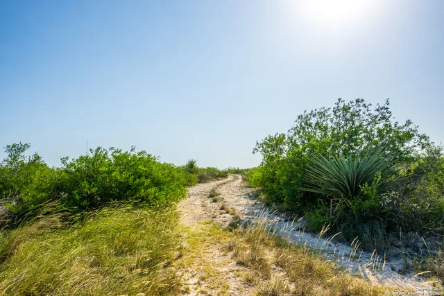 a view of a backyard with sitting area