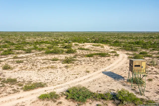 a close view of outdoor space