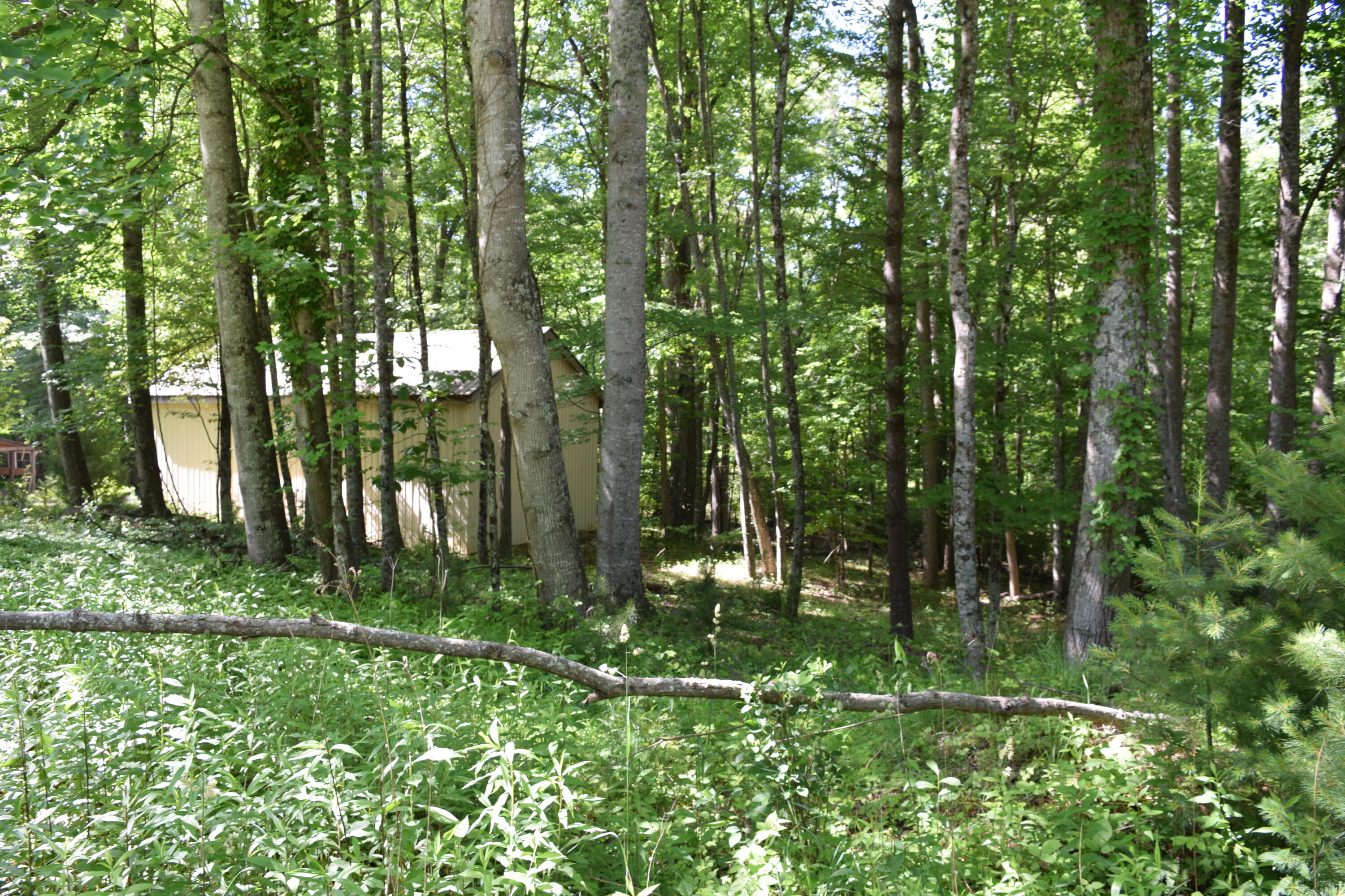 812 Conner Grove Road Southwest Willis, VA 24380 - Photo 71 of 87 DSC_0034