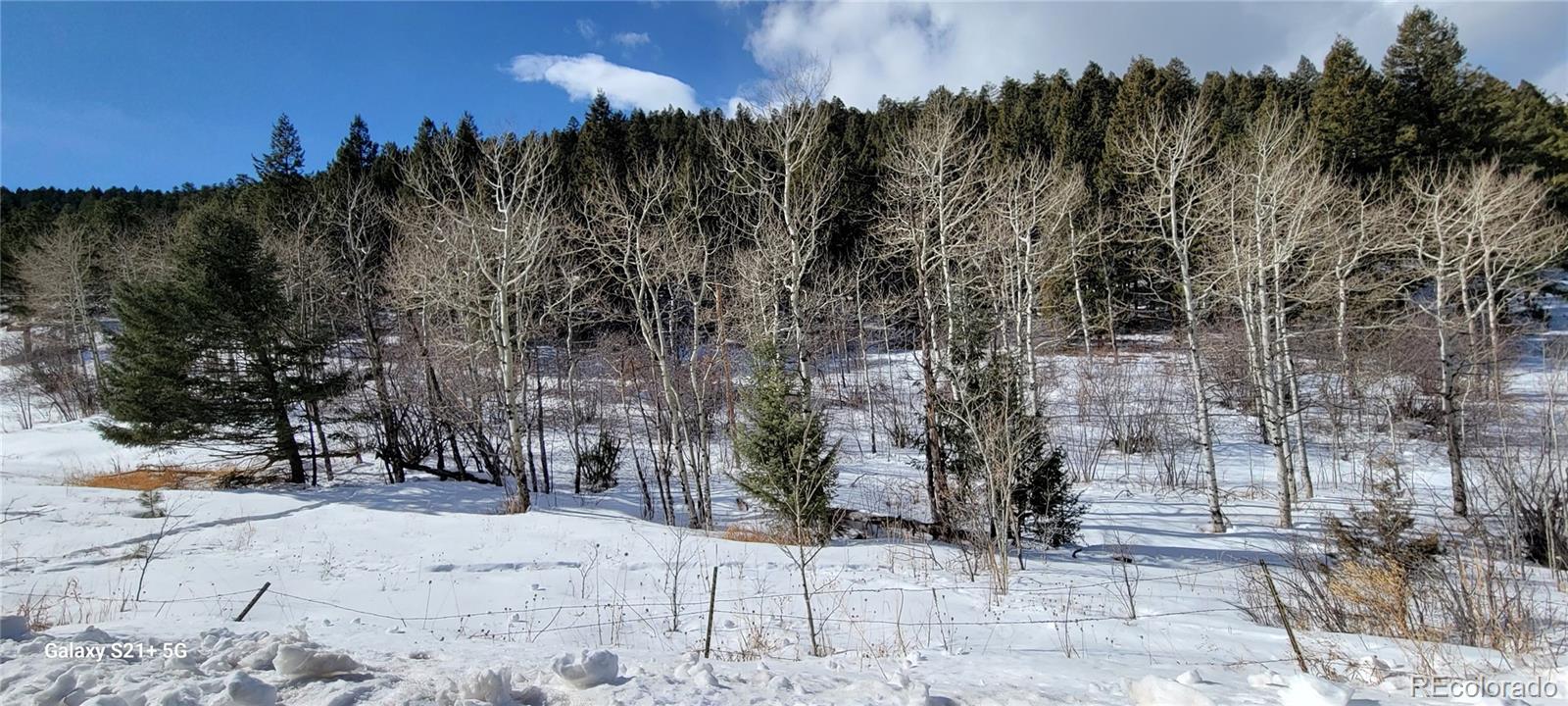 South Maxwell Hill Road Littleton, CO 80127 - Photo 11 of 14