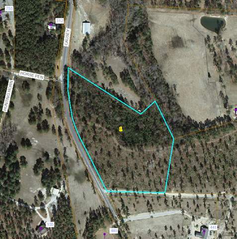 Tract 1 Causey Road Vass, NC 28394 - Photo 1 of 1 Primary Photo