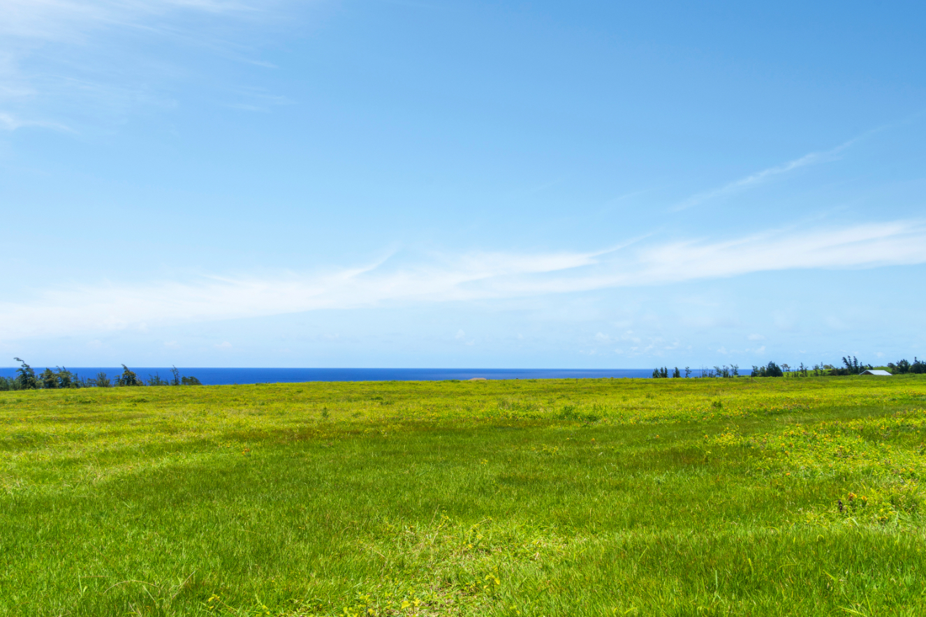 2 Uli Road Kapaau, HI 96755 - Photo 4 of 13