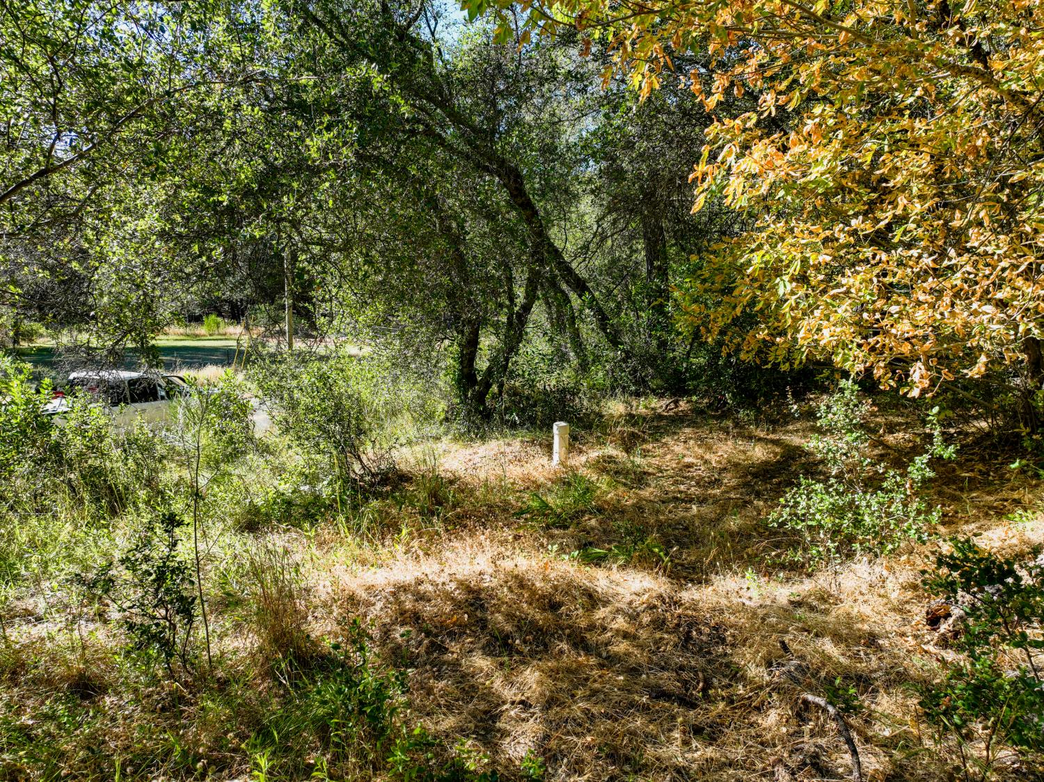 16970 Southridge Road Penn Valley, CA 95946 - Photo 36 of 45