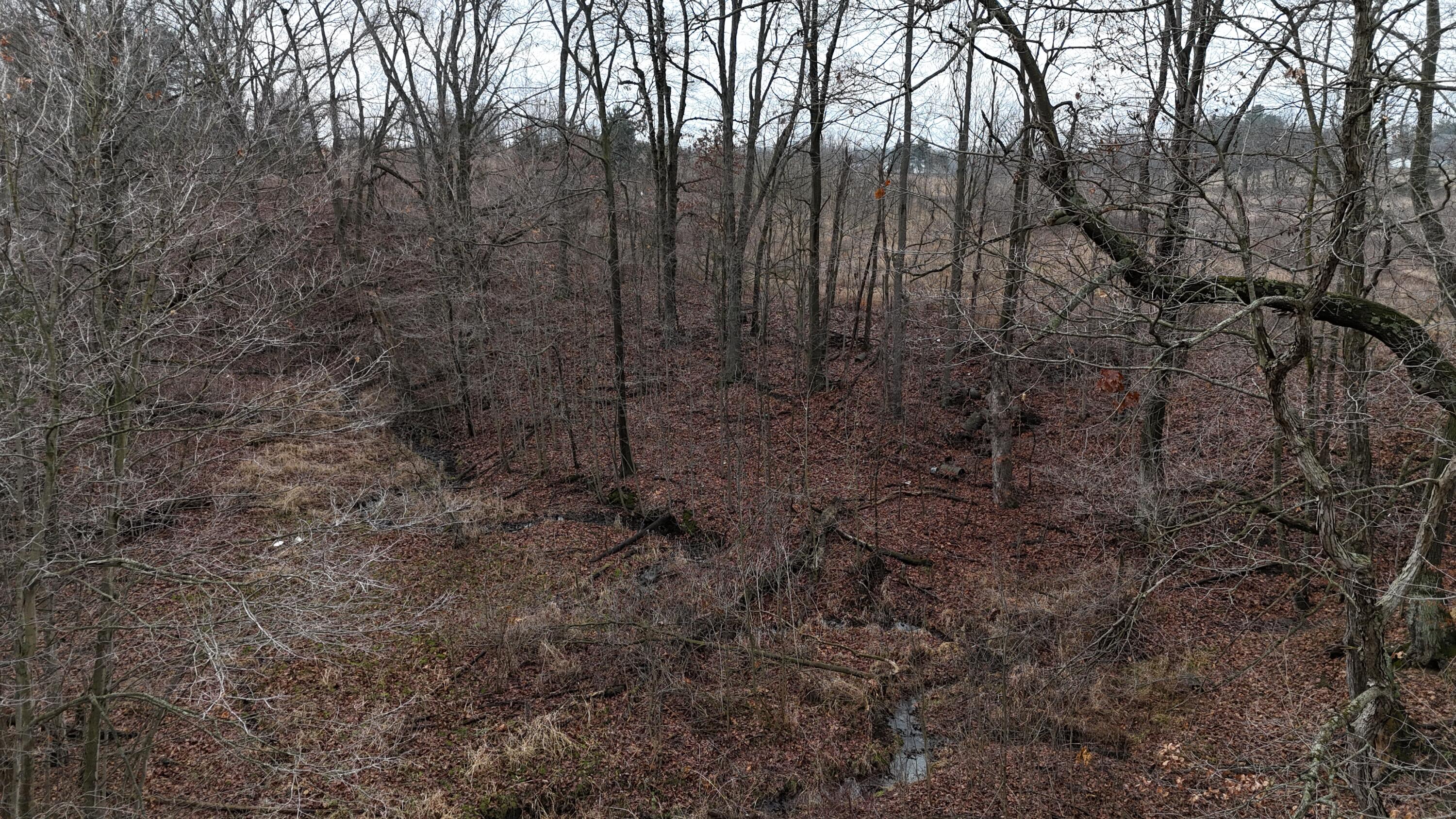 7134 Reading Road East Pittsford, MI 49271 - Photo 11 of 51 dji_fly_20241227_103832_0026_17353153860