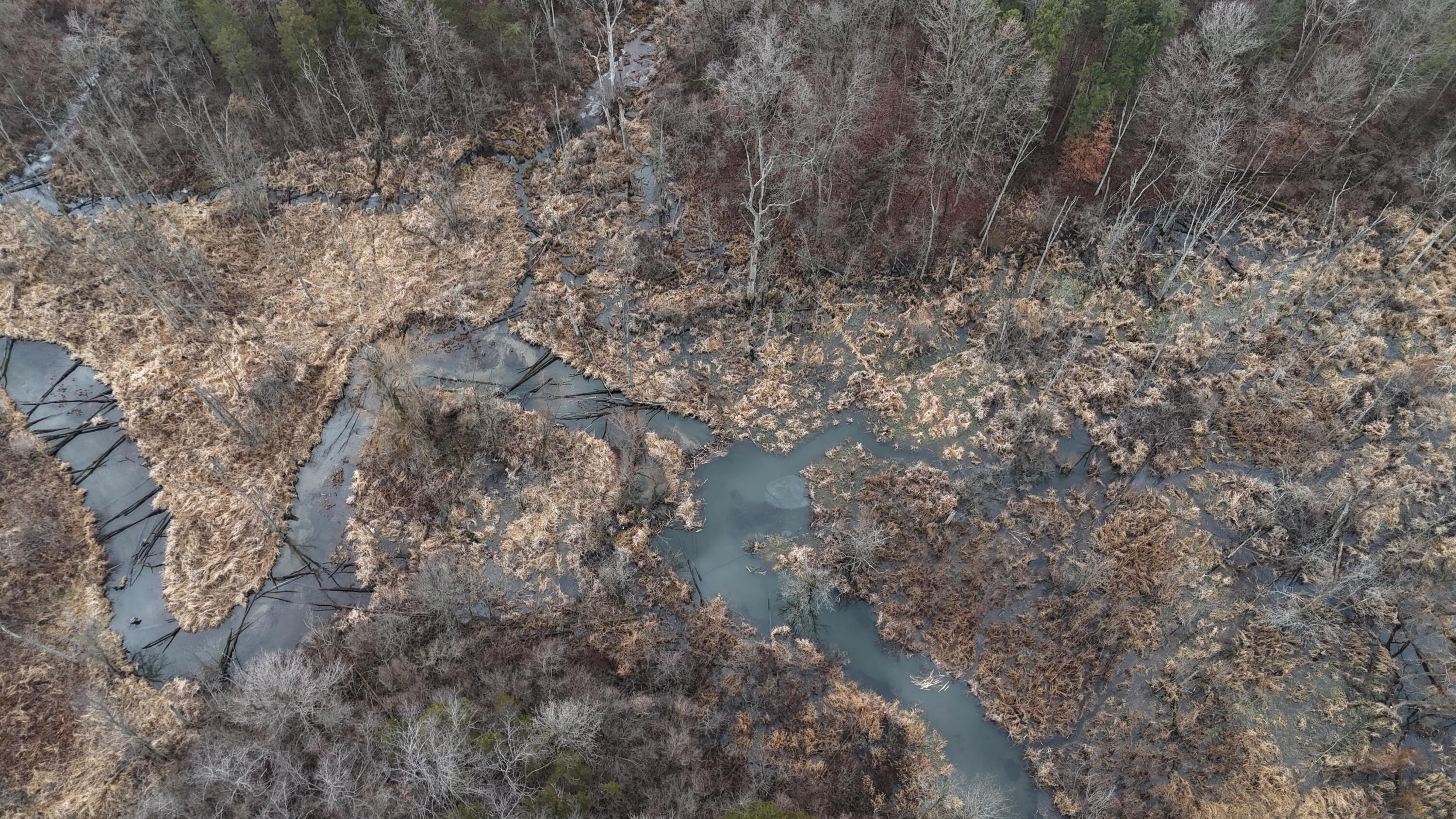 7134 Reading Road East Pittsford, MI 49271 - Photo 15 of 51 dji_fly_20241227_104550_0038_17353153703