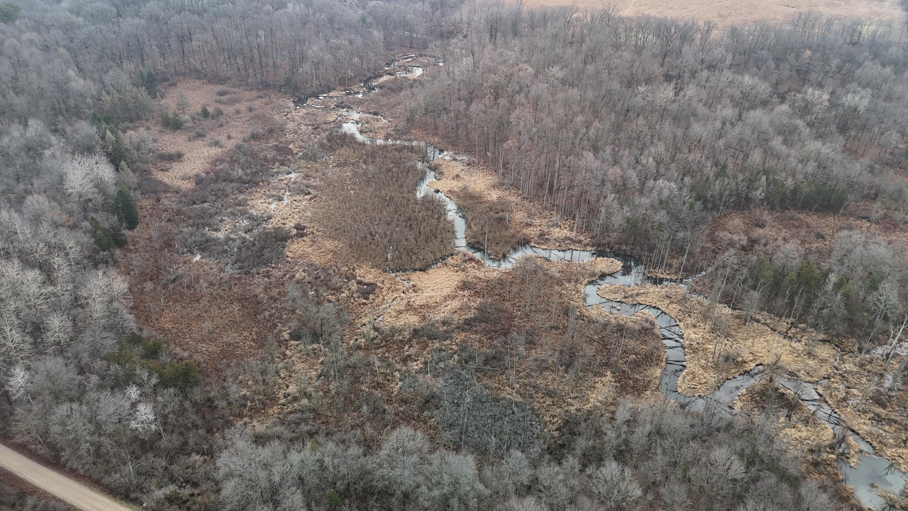 7134 Reading Road East Pittsford, MI 49271 - Photo 16 of 51 dji_fly_20241227_104506_0037_17353153706