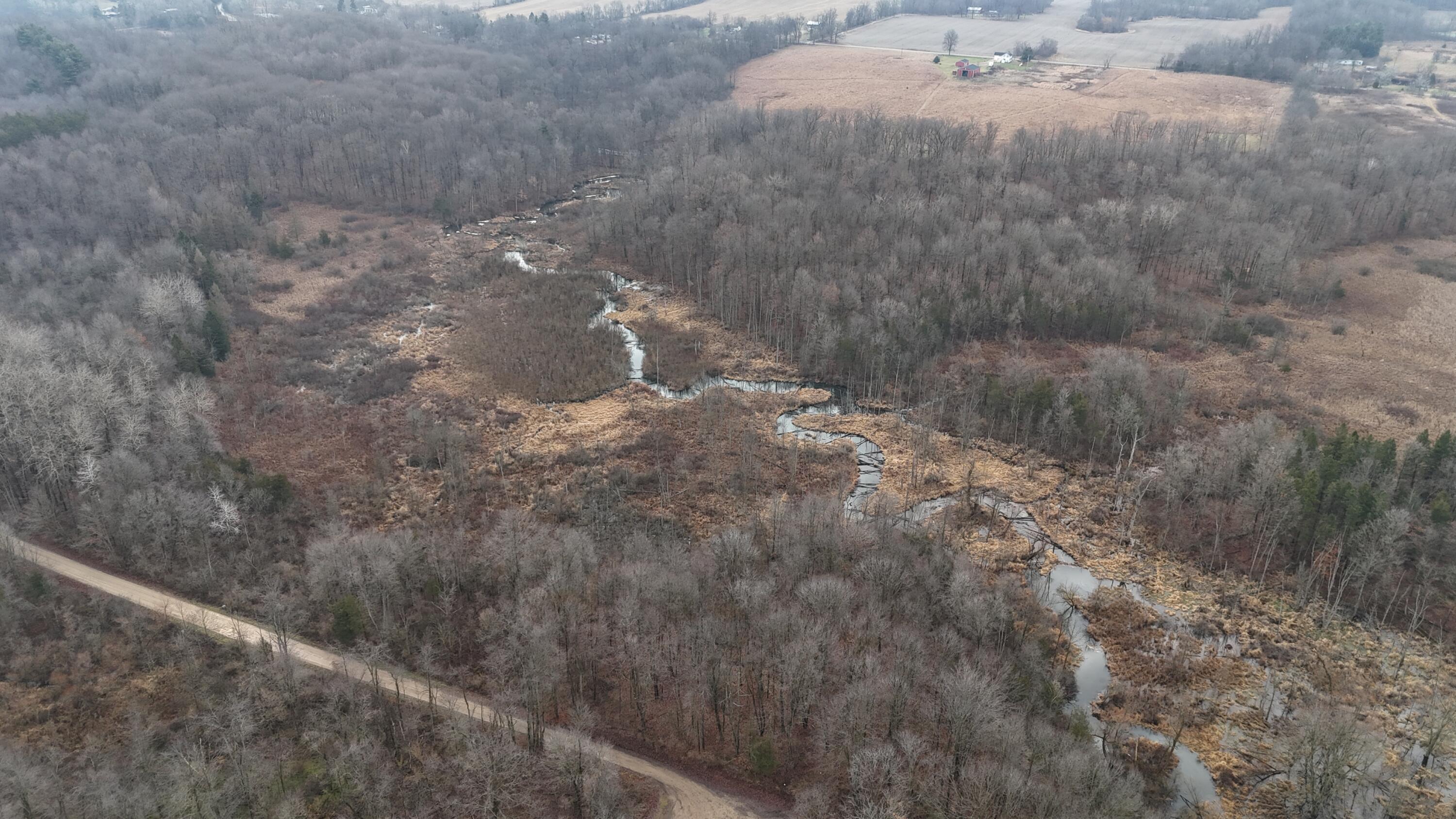 7134 Reading Road East Pittsford, MI 49271 - Photo 17 of 51 dji_fly_20241227_104448_0036_17353153709
