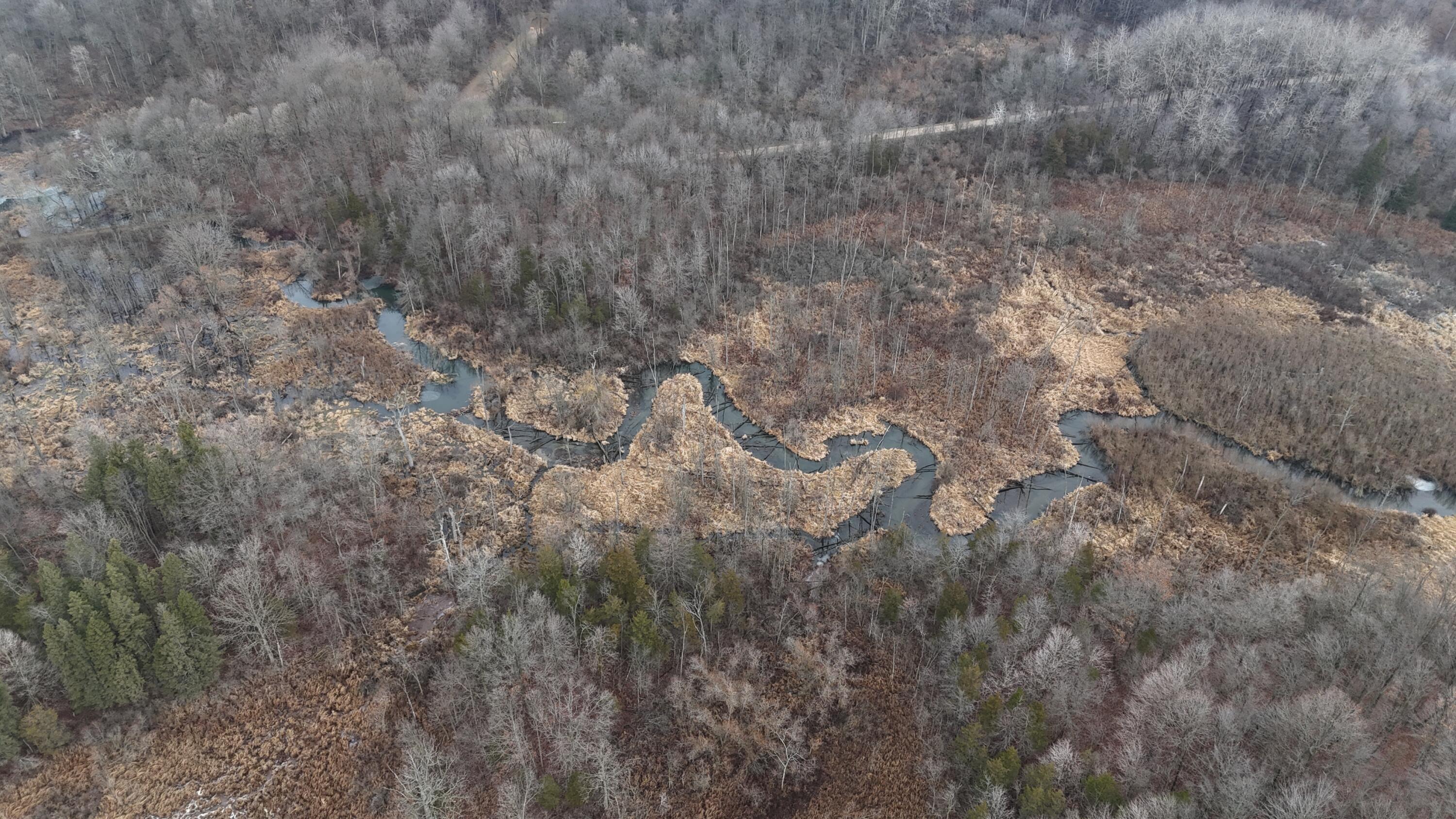 7134 Reading Road East Pittsford, MI 49271 - Photo 19 of 51 dji_fly_20241227_104250_0033_17353153722
