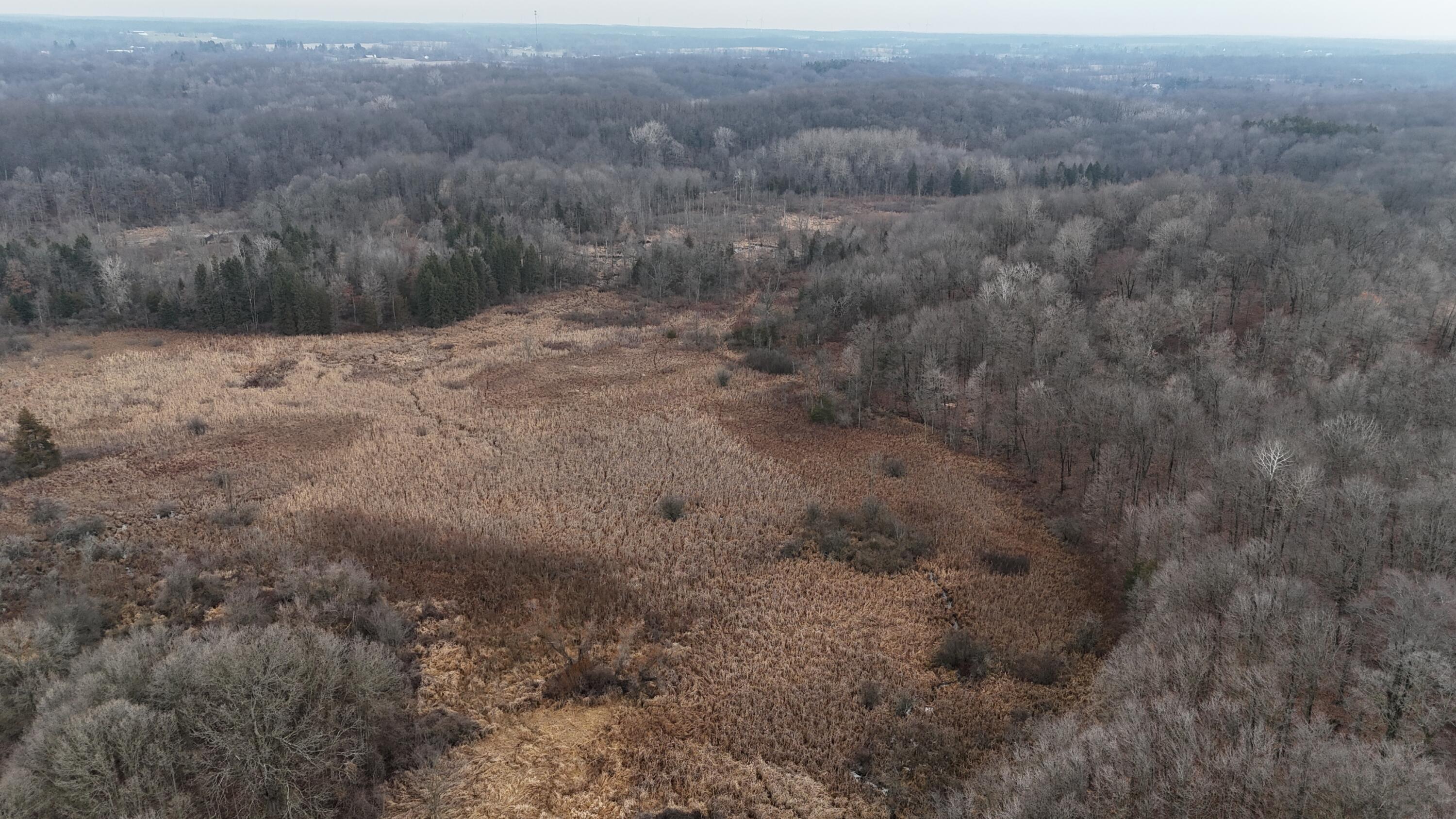 7134 Reading Road East Pittsford, MI 49271 - Photo 8 of 51 dji_fly_20241227_103346_0018_17353153889