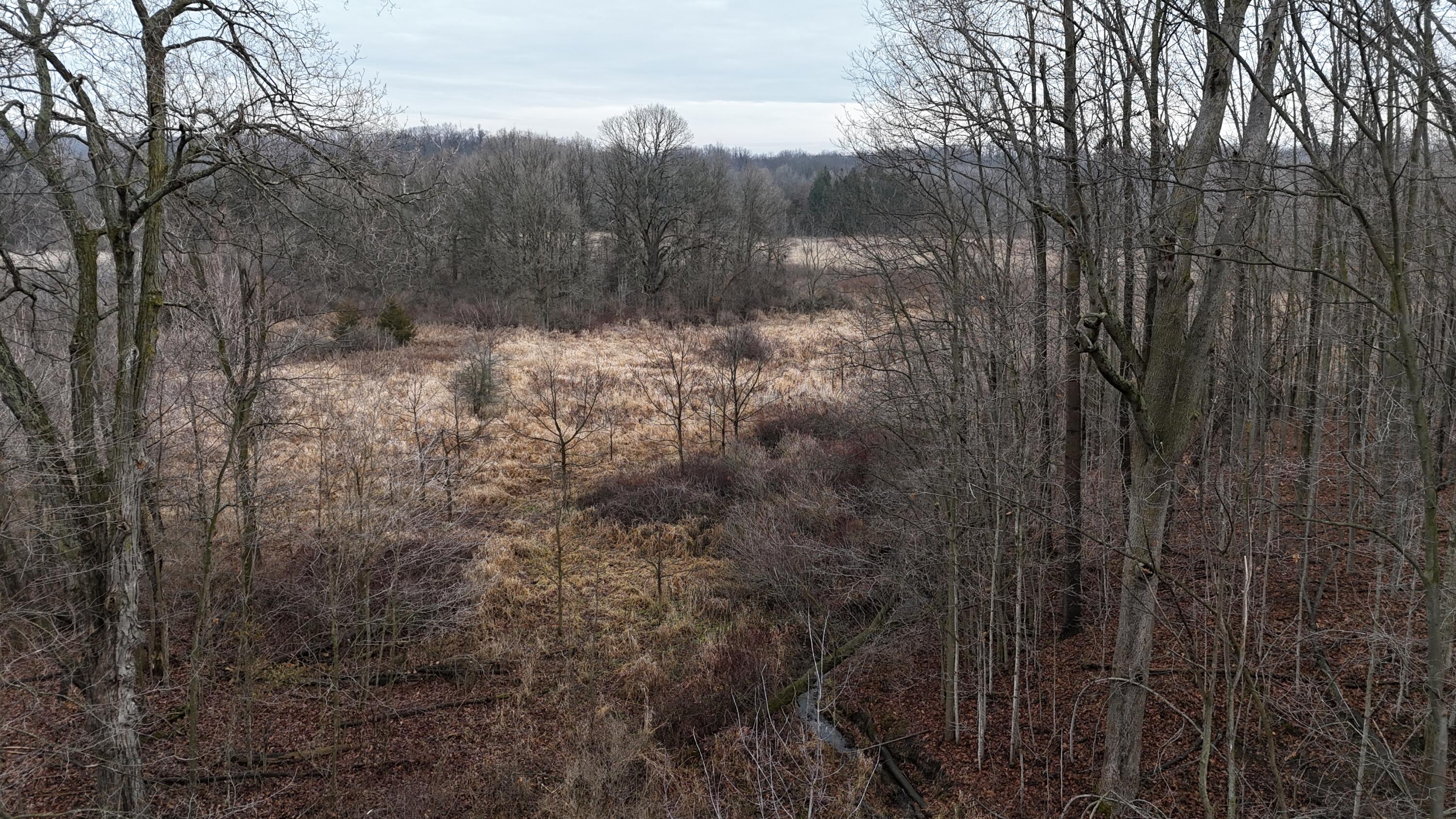 7134 Reading Road East Pittsford, MI 49271 - Photo 9 of 51 dji_fly_20241227_103816_0025_17353153856