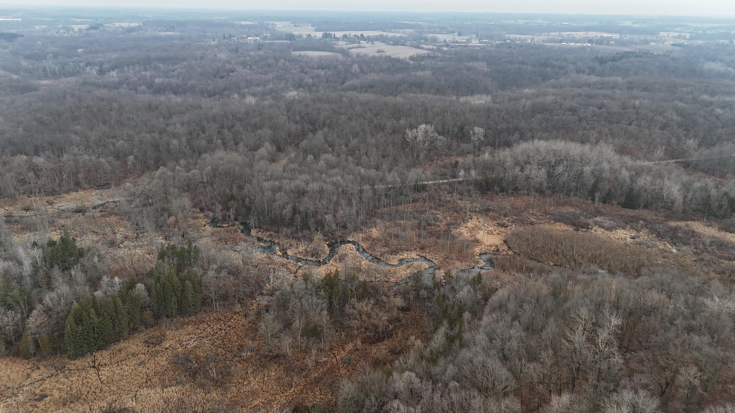 7134 Reading Road East Pittsford, MI 49271 - Photo 10 of 51 dji_fly_20241227_104236_0032_17353153719