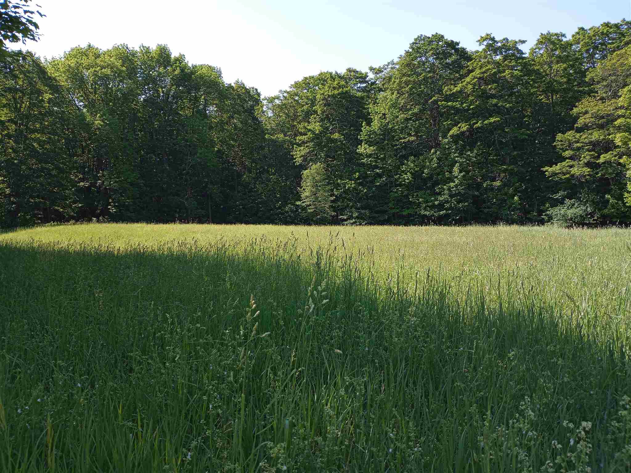 0 Clark Camp Road Cornish, NH 03745 - Photo 2 of 8