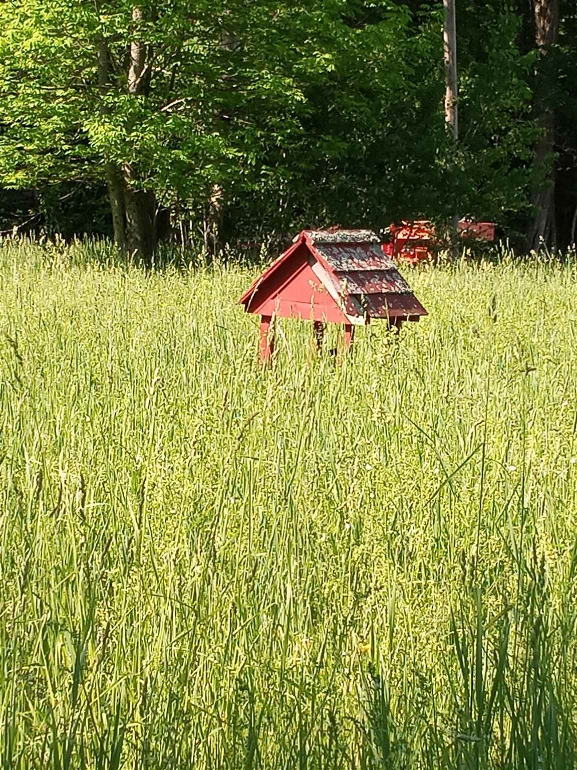 0 Clark Camp Road Cornish, NH 03745 - Photo 8 of 8