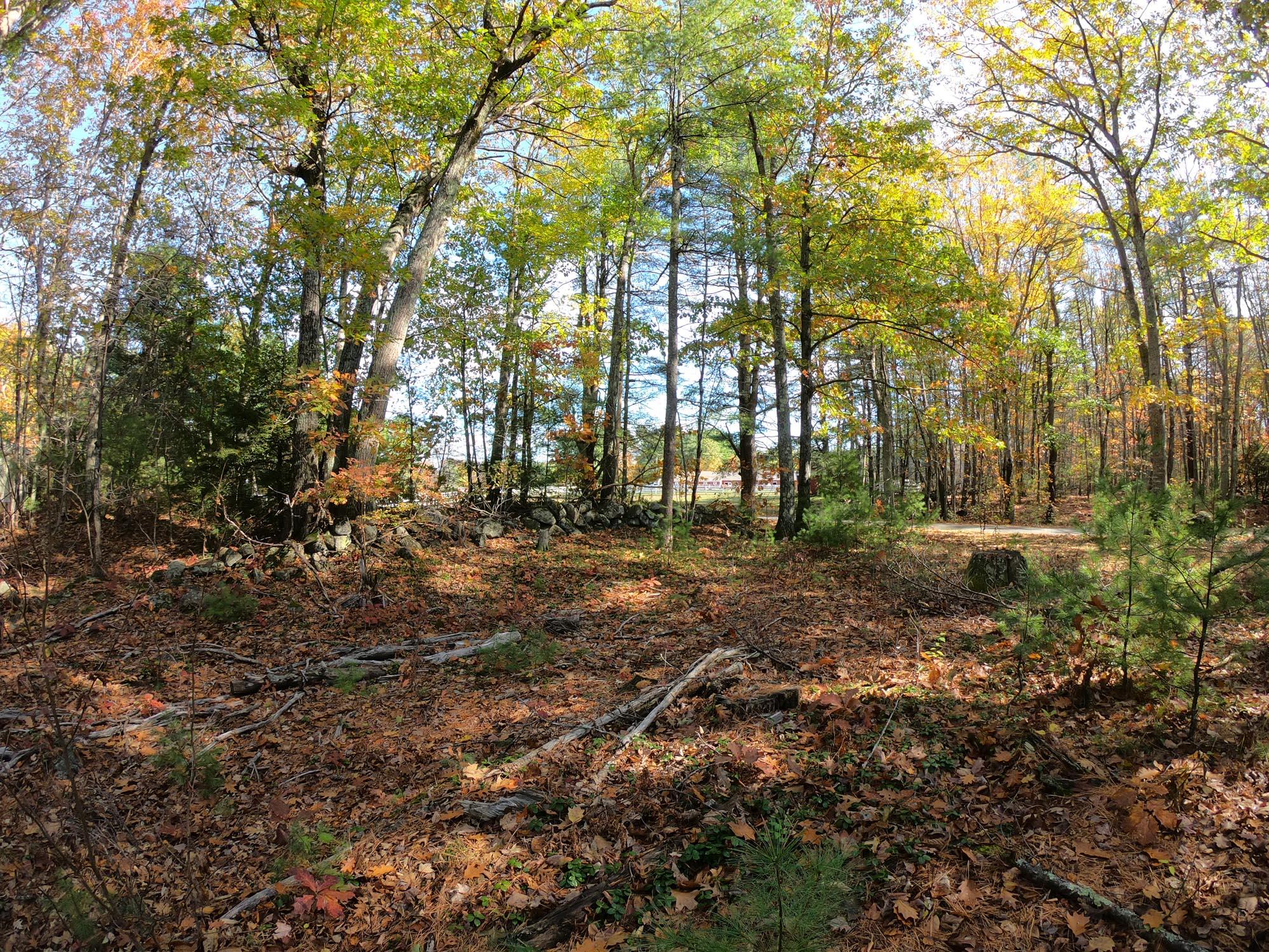 329 Allen Road, Unit LOT 1 Wells, ME 04090 - Photo 16 of 25 GOPR3399