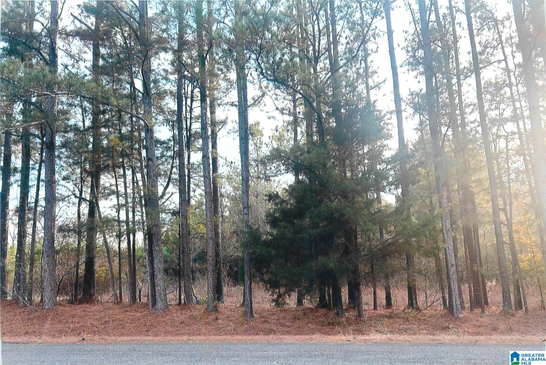 0 Cove Access Road Talladega, AL 35160 - Photo 1 of 2