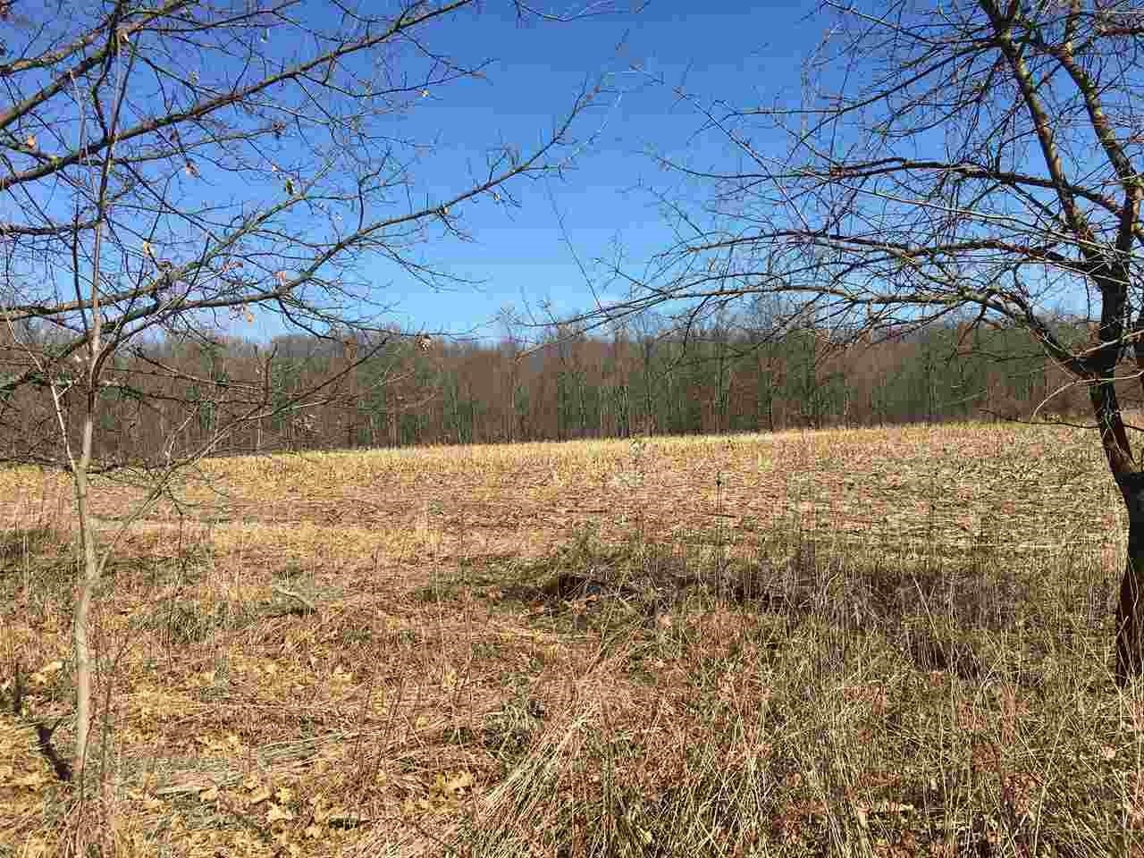 6266 Springport Road Jackson, MI 49201 - Photo 1 of 16 Photo 1