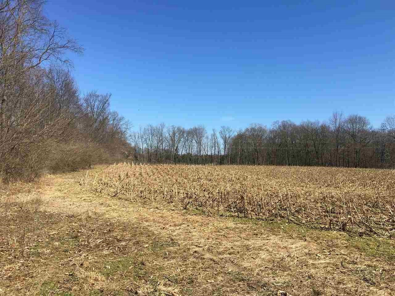 6266 Springport Road Jackson, MI 49201 - Photo 14 of 16 Photo 14
