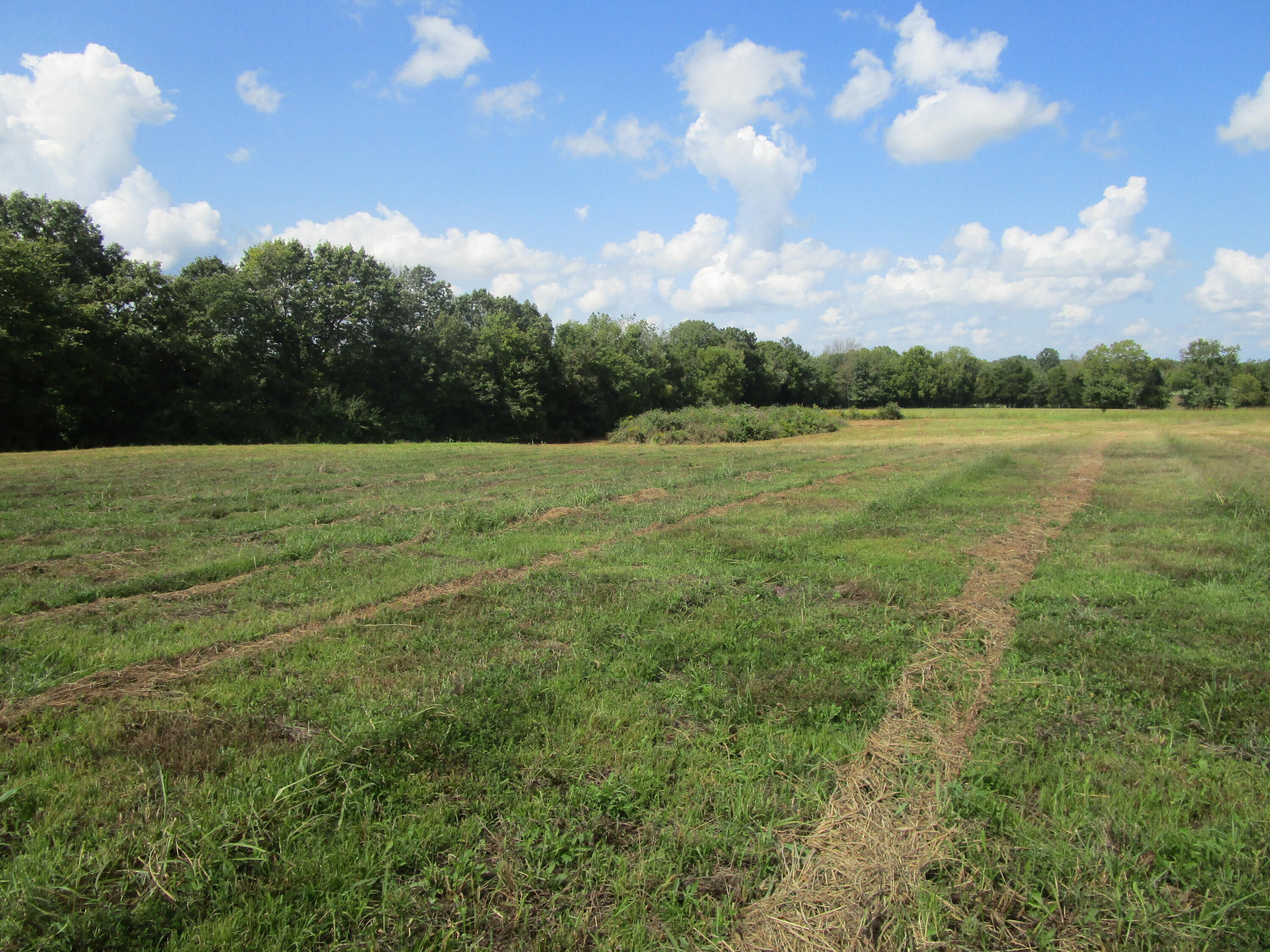325 Wheat School Road Salvisa, KY 40372 - Photo 3 of 8 IMG_0365