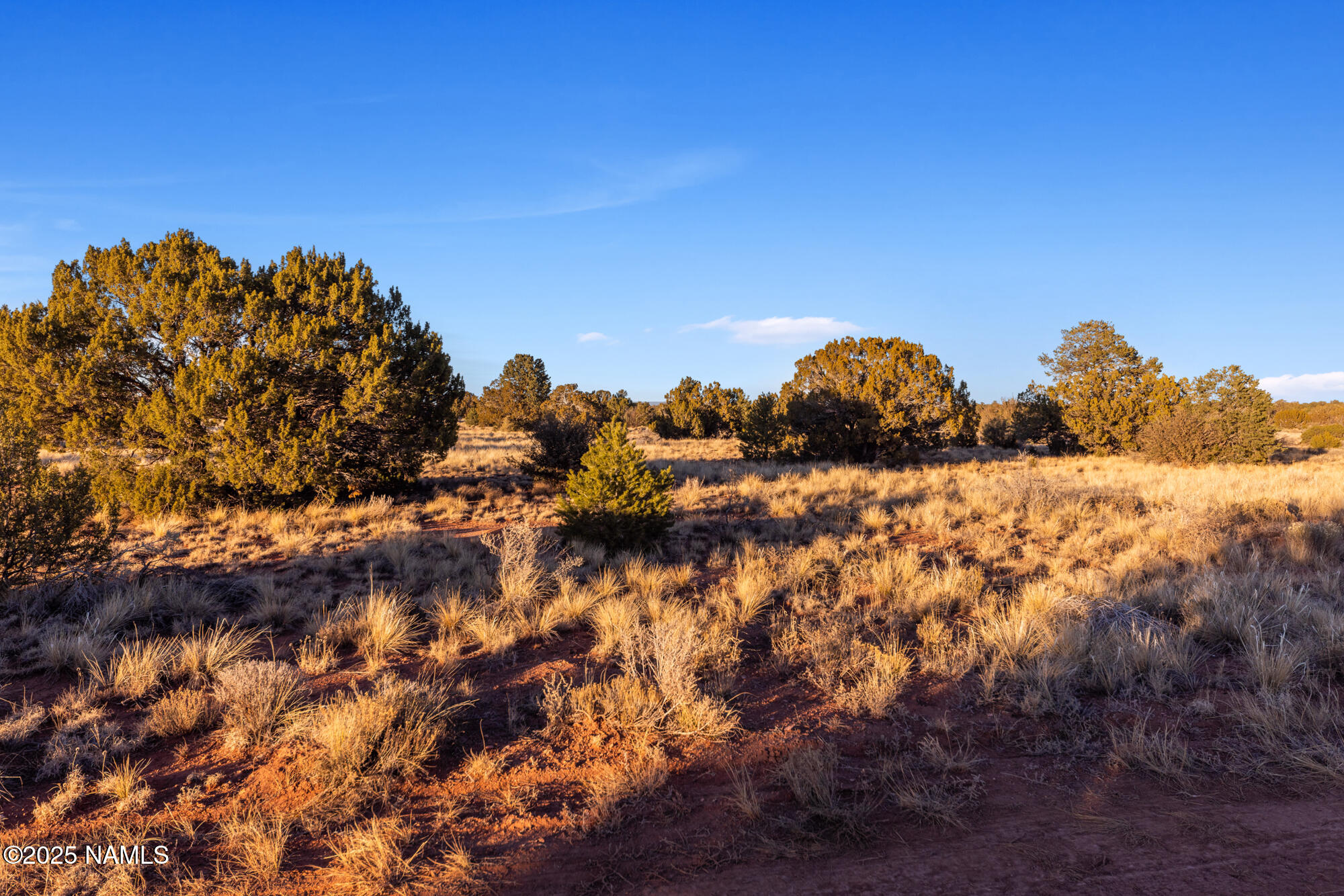 4411 East Cedar Road Williams, AZ 86046 - Photo 1 of 35 IMG_3589
