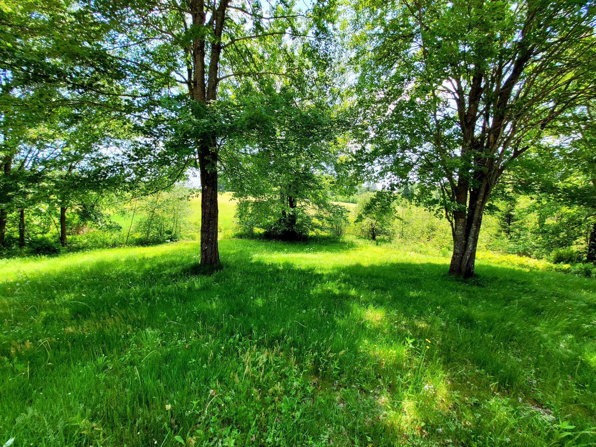 290 Penney Road Belgrade, ME 04917 - Photo 43 of 50 Backyard view