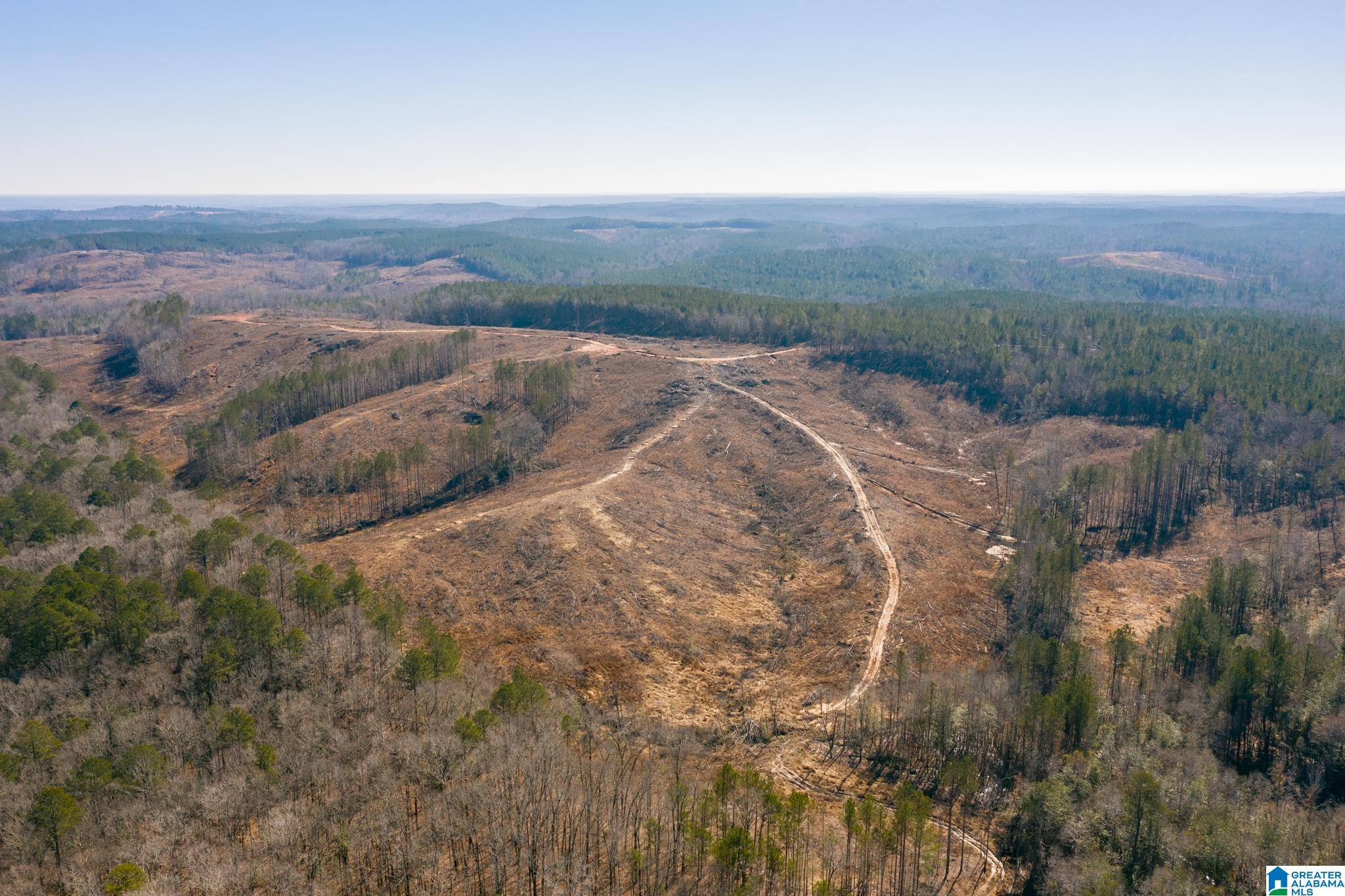0 Harless Road Northport, AL 35475 - Photo 26 of 34