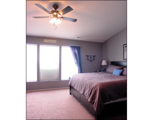 3293 Cremin Lane Aurora, IL 60502 - Photo 12 of 16