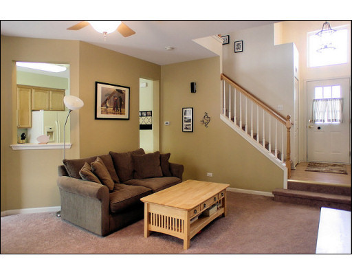 3293 Cremin Lane Aurora, IL 60502 - Photo 3 of 16