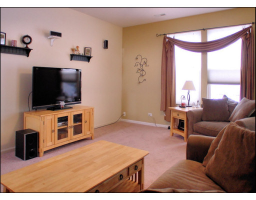 3293 Cremin Lane Aurora, IL 60502 - Photo 4 of 16