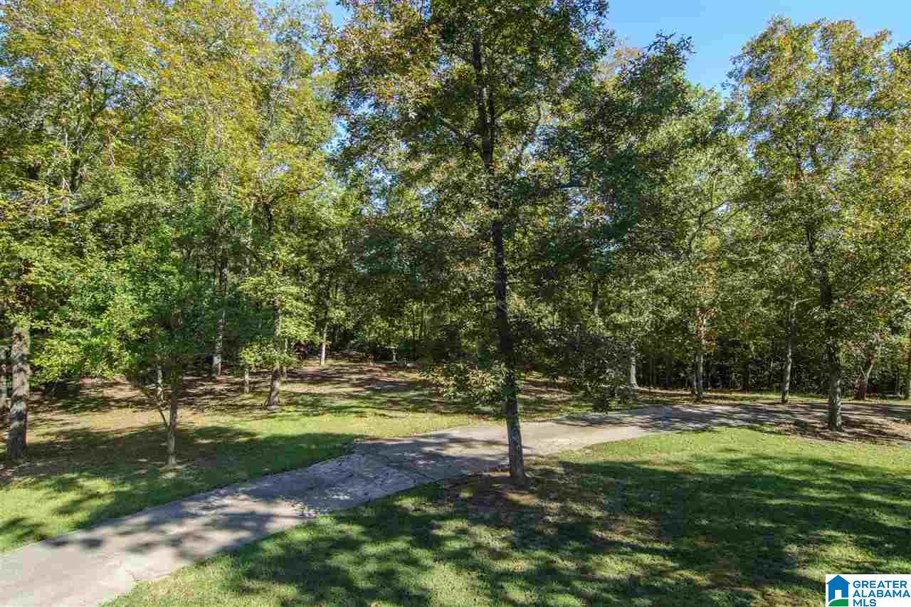 7951 Highway 55 Wilsonville, AL 35186 - Photo 48 of 50